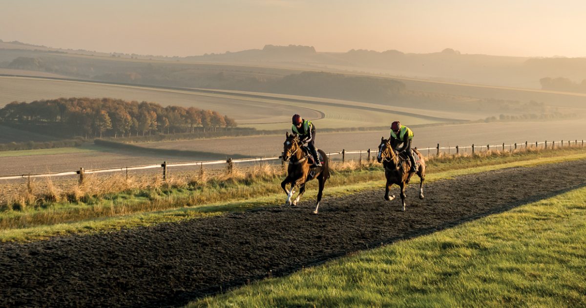 Facilities Jockey Club Estates