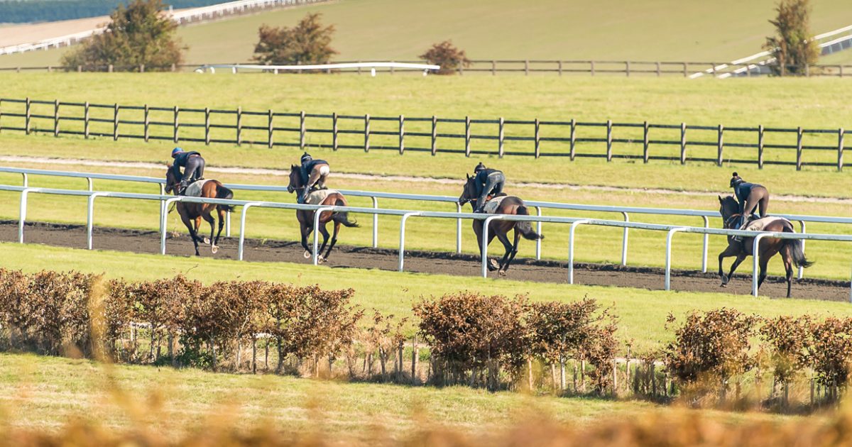 Principal Gallops Jockey Club Estates