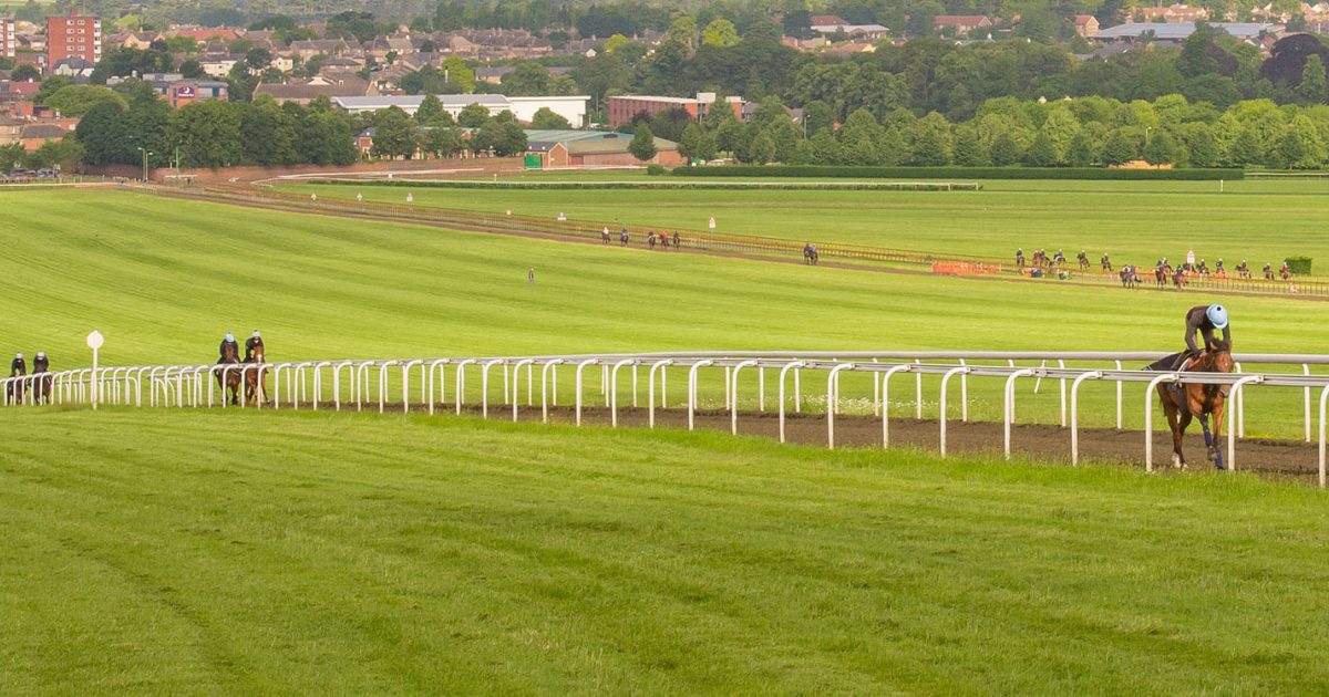 Facilities Jockey Club Estates