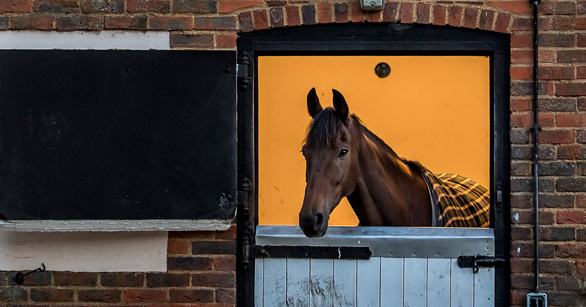 Training Yards for Rent or Sale Jockey Club Estates