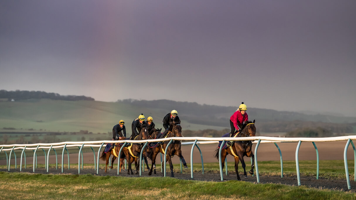 Report highlights the value of the Valley of the Racehorse - Jockey ...